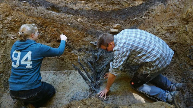 Archaeologists Carefully Examine the Remains of the Wooden Trap, a Key Element of Roman Defensive Strategy