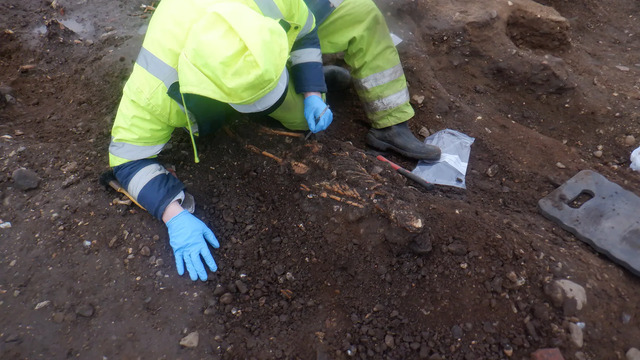 Archaeologists Carefully Examine the Site in Carrickfergus, Where the Bones of Nearly 150 Individuals Were Unearthed