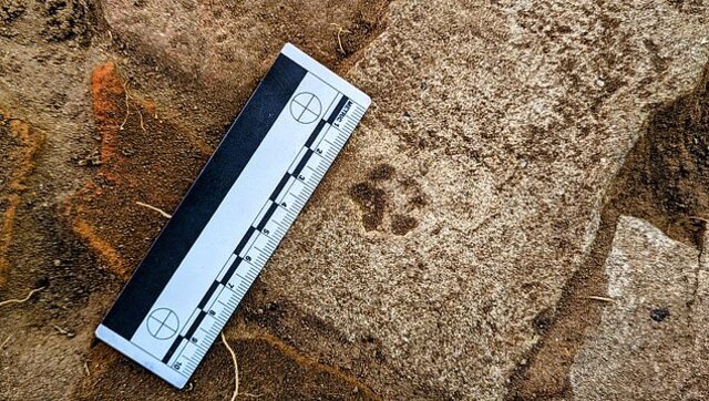 Archaeologists spotted a small yet fascinating detail at the site—a cat paw print preserved in time.