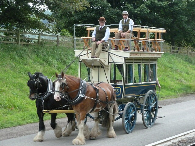 By the 1920s, most major cities had transitioned to motorized buses, bringing an end to the era of horse-drawn transport