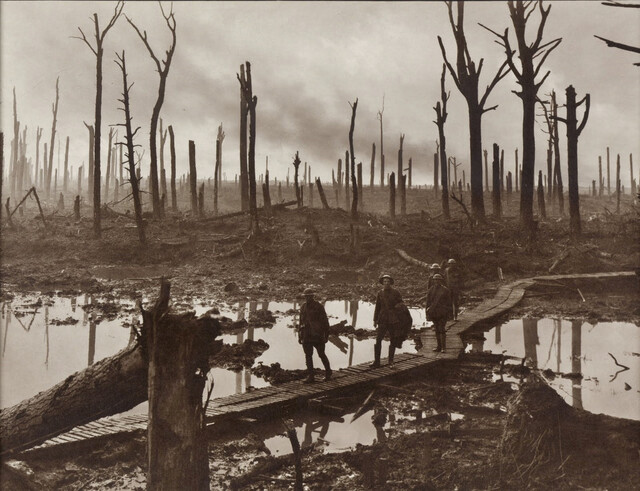 Chateau Wood at Ypres, 1917: a poignant glimpse into a wartime memory.