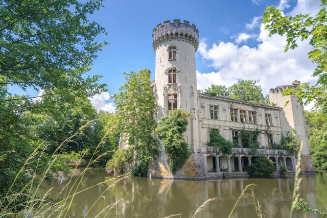 Decades of neglect have transformed this French château’s interiors into a verdant canvas of vines and trees.