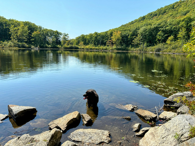 For those who want to combine history with a love of hiking, the Ann Stokes and Daniels Mountain Loops offer an ideal adventure