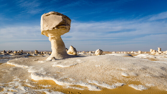 Located in Egypt’s Western Desert, Wadi al-Hitan offers a glimpse into Earth’s distant past.