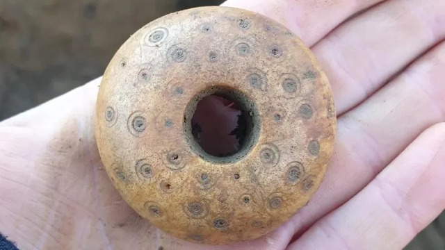 Numerous Saxon Bone Spindle Whorls Discovered, Offering Insight Into Early Cloth Weaving Practices