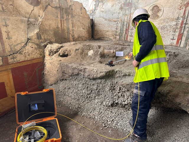 Ongoing Archaeological Work at the Casa de Leda, Where This Mythological Fresco Was Found