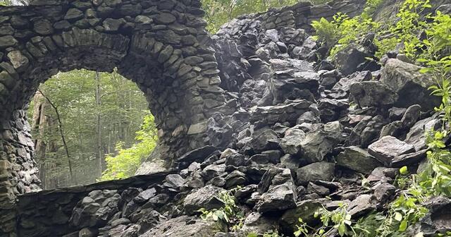 Thanks to the efforts of the Society for the Protection of New Hampshire Forests, Madame Sherri’s Forest has been preserved for future generations to enjoy