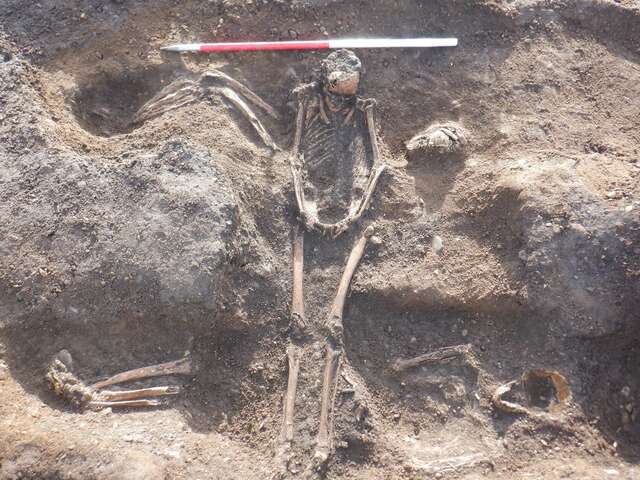 The Bones of One of the Individuals Unearthed at the Medieval Burial Site in Carrickfergus