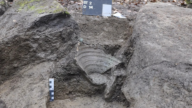 The coins and silver fragments were housed in a ceramic pot, which was consistent with Roman ceramic traditions of the third century A.D