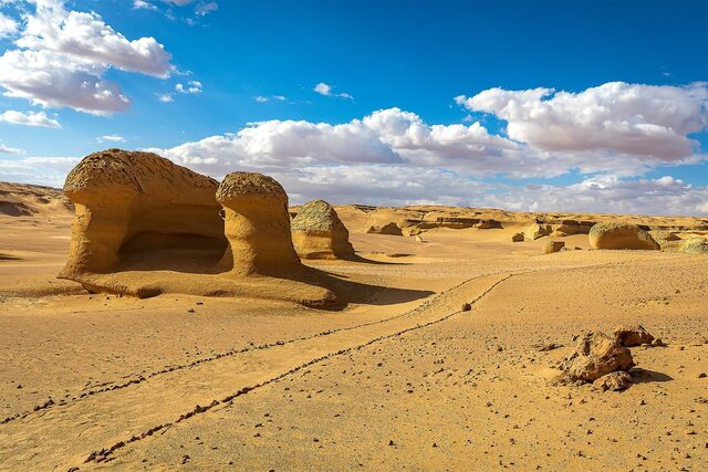 The desert landscape of Wadi al-Hitan reveals signs of prehistoric life, from smooth mollusks to shark teeth.