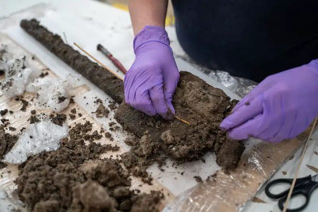 The spade is currently undergoing a meticulous preservation process at Wessex Archaeology laboratories.