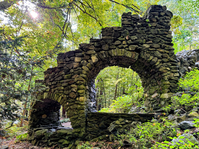 The forest surrounding the castle ruins is a sanctuary in every sense of the word