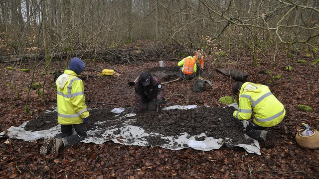 The hoard was discovered near the small town of Herschbach in the Westerwald mountain rang