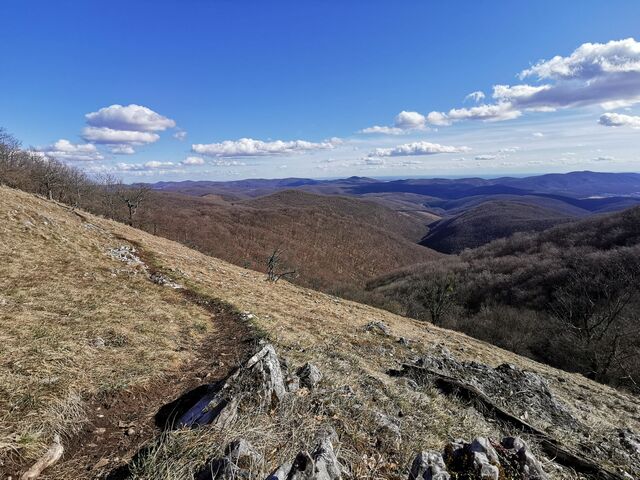 The mountainous terrain of the Bükk region posed logistical challenges for the archaeological team