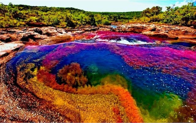 A mesmerizing view of the rainbow-colored Caño Cristales River, also known as the "River of Five Colors," located in Colombia’s Sierra de la Macarena National Park