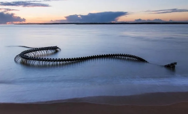 The magnificent "Serpent d'Océan" sculpture rising from the waters during low tide in Saint-Brévin-les-Pins, France, blending with the serene ocean backdrop