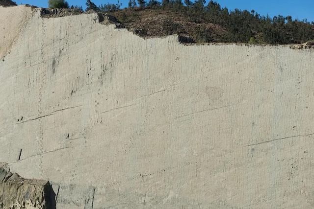 Detailed tracks on the limestone wall, displaying the path taken by dinosaurs in a now-vertical plane