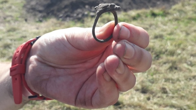 The Pictish ring in the moment of discovery, unearthed by an archaeologist during the Burghead Fort excavation