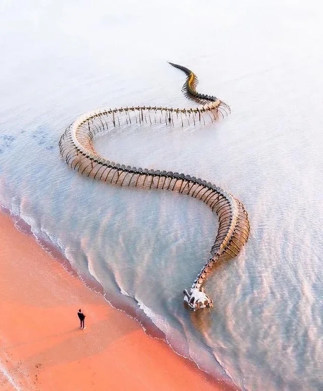 A mesmerizing aerial view of the "Serpent d'Océan" stretching along the shoreline, showcasing its impressive 425-foot length