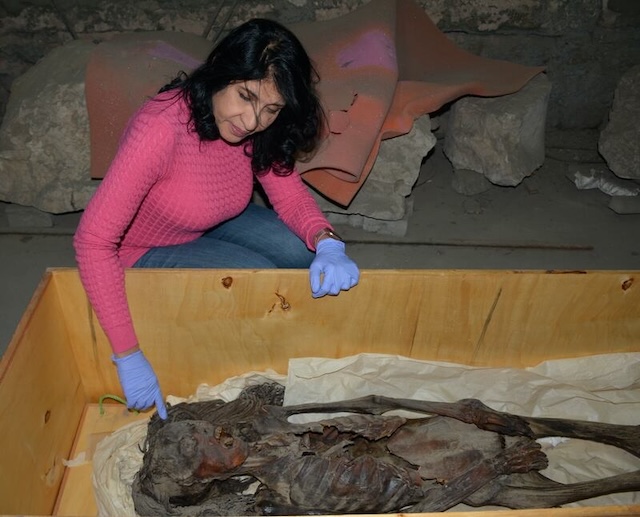 An archaeologist inspects the "Screaming Woman" mummy, whose agonizing expression is believed to be caused by cadaveric spasm at the moment of her death