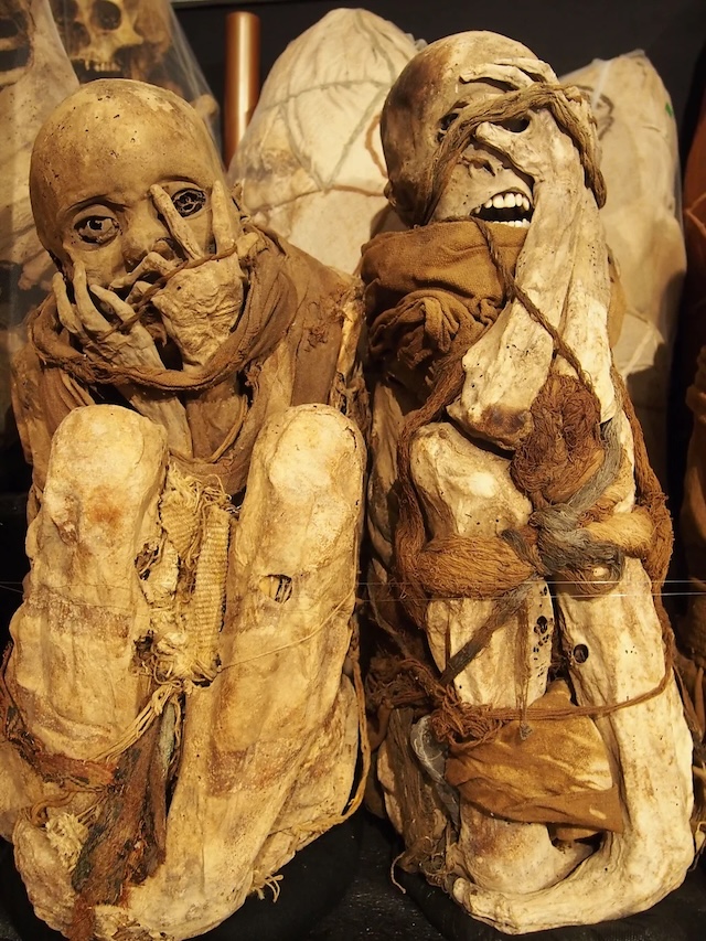 Two well-preserved Incan mummies show the intricate mortuary techniques used by the Incas, including leather-like skin and seated burial positions