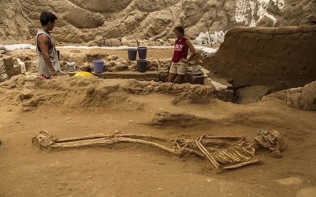 Archaeologists examining a burial from the Philistine cemetery at the Ashkelon excavation site, revealing ancient skeletal remains