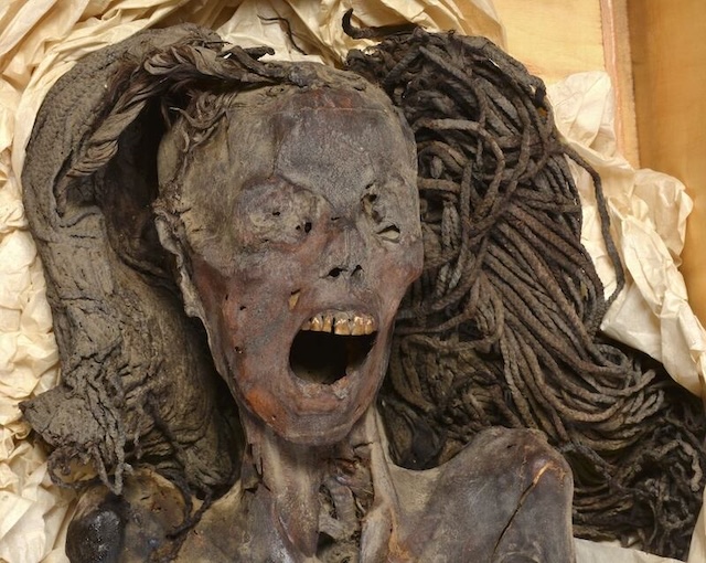 A closer look at the "Screaming Woman" mummy, her mouth agape in a silent scream, offering a glimpse into a dramatic and mysterious death over 3,000 years ago