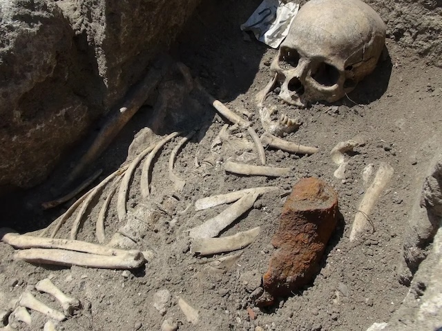 A closer look at the "Toothless Vampire" skeleton, showcasing the iron rod driven through the chest as part of ancient superstitious burial practices