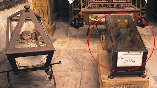 Rosalia Lombardo’s resting place in the Capuchin Catacombs of Palermo. Her small glass coffin (circled) stands among other preserved remains, capturing the attention of visitors due to the mystery of her "blinking" eyes