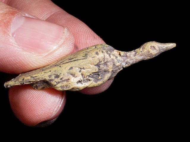 Held in hand, this small but detailed water bird figurine, carved from mammoth ivory, exemplifies the intricate craftsmanship of prehistoric humans