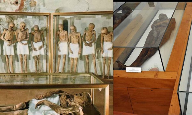 Mummies preserved for centuries in Venzone are displayed with respect, wrapped in simple garments, and honored as a part of the town's unique history