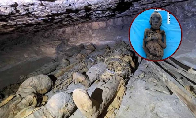 Rows of mummies discovered in the hidden burial site in Aswan, Egypt, providing a rare look into the lives and deaths of its ancient inhabitants