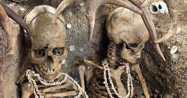 A detailed close-up of the skulls of the "Ladies of Téviec," surrounded by artifacts and antler protection, raising questions about their final moment