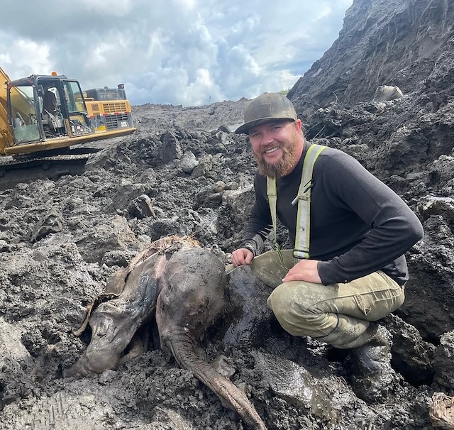 A worker in the field beside the baby woolly mammoth during the excavation process, emphasizing the exciting moment of discovery