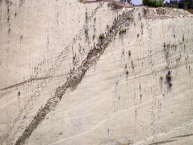 A researcher gazes up in awe at the towering wall covered in prehistoric tracks, contemplating its history