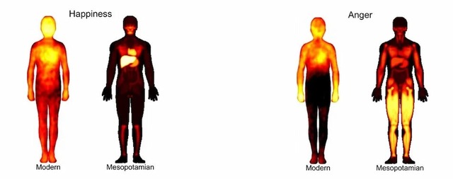 Both modern and ancient emotional body maps highlight similarities, except for the liver, which held far greater importance in Mesopotamian culture. Interestingly, while anger today is felt in the upper body and hands, Mesopotamians associated it with the feet.