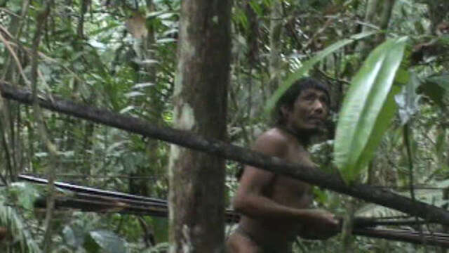 The last Kawahiva tribespeople live in constant flight from armed loggers and powerful ranchers. This still captures a fleeting moment from rare government footage taken during a chance encounter.