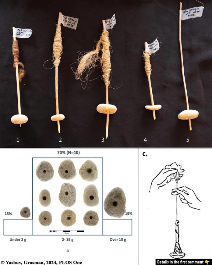 12,000-Year-Old Stones: Unlocking the Earliest Evidence of Rotational Technology