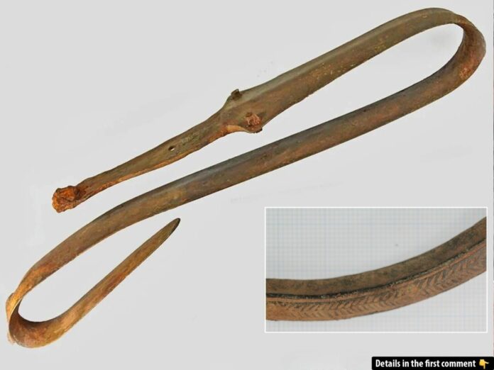 The Egedal Find: A 2,500-Year-Old Sword and the Secrets of Denmark's Bronze Age