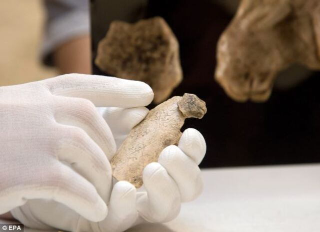 Archaeologists from the University of Tübingen in Germany have rediscovered an ancient fragment of mammoth ivory, once part of an Ice Age lion figurine. Now reattached to the sculpture, the fully restored artifact is proudly displayed at the university’s museum