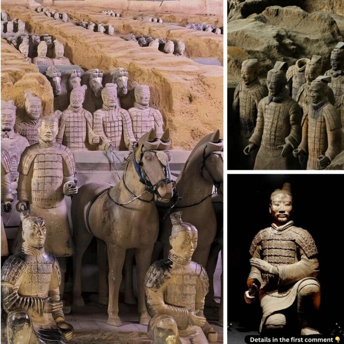 Qin Shi Huang and His Eternal Legacy: The Terra-Cotta Warriors’ Tale