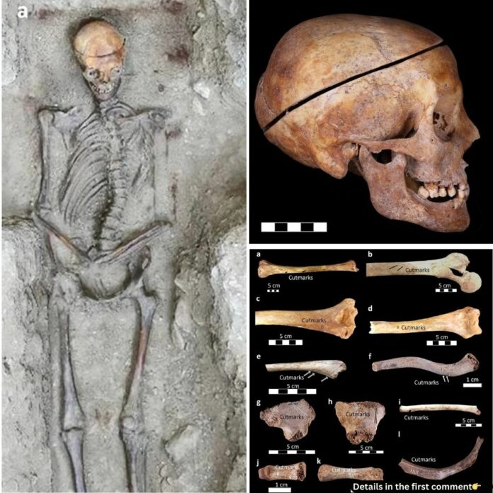 Unveiling Europe's First Familial Embalming Practices: A Remarkable Discovery at Château des Milandes