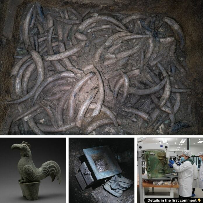 The Many Faces of the Kingdom of Shu: Unlocking the Mysteries of Sanxingdui