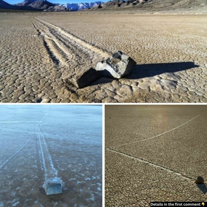 The Enigmatic Sailing Stones of Death Valley: Nature’s Unsolved Puzzle.