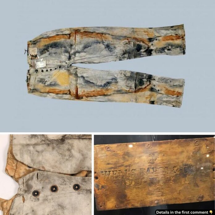 The World’s Oldest Jeans: A Glimpse Into History Through an 1857 Shipwreck