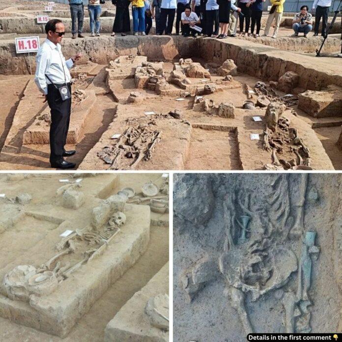 Unveiling Ancient Vietnam: Bronze Age Settlement Discovered at Vuon Chuoi