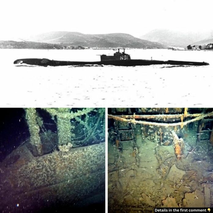 Unearthing History: The Discovery of WWII’s Lost HMS Trooper Submarine