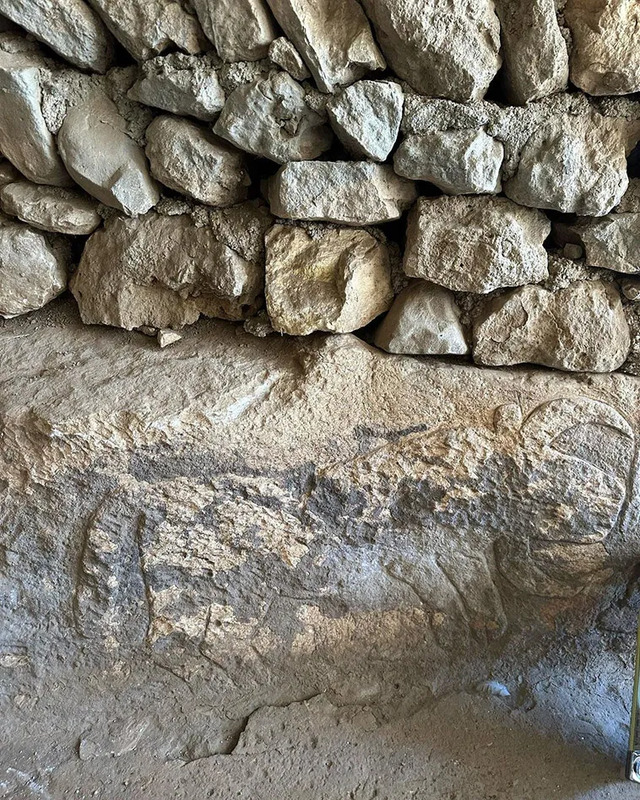 A carved stone relief found at one of the Taş Tepeler sites, depicting detailed animal figures believed to represent the local fauna of the Neolithic period. This provides insight into the symbolic practices of early societies.