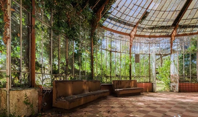 A View Through the Broken Window of La Serre du Chirurgien Reveals a Hauntingly Beautiful Scene.