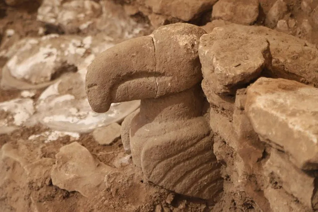 A beautifully preserved stone carving of a bird's head, embedded within the ancient excavation site.